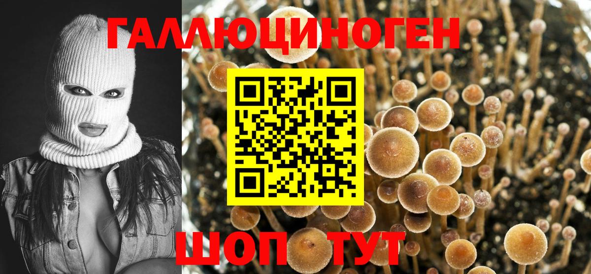 Трёхгорный  Псилоцибиновые грибы Magic Shrooms  Вход с VPN 